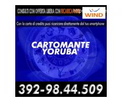 Yoruba Cartomante