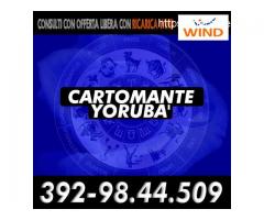 Yoruba Cartomante