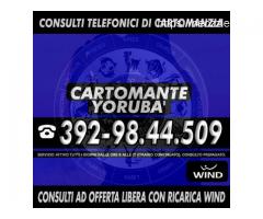 Yoruba Cartomante