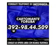 .•*´¨` Cartomante Yorubà ´¨`*•.