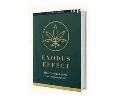Does anyone get Side Effects in the body by using Exodus Effect eBook?