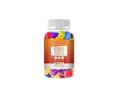 Where To Buy Golly CBD Gummies With Exclusive Offer?