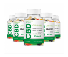 What Are The Pros & Cons Of Botanical Gardens CBD Gummies?