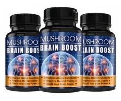 What Is Mushroom Brain Boost Supplement?