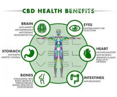 What Is The Composition Of MediGreens CBD Gummies?
