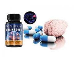 Mushroom Brain Boost Reviews – Real Results or Side Effects Risk?