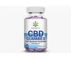 How treat have any familiarity with the Next Plant Full Spectrum CBD Gummies?
