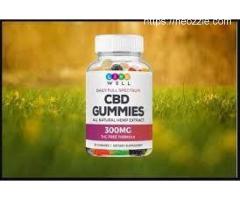 What Are The Ingredients Used In The Formulation Of Live Well CBD Gummies?