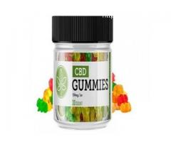 Martha MacCallum CBD Gummies