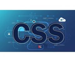 Hire a great CSS Developer expert at best price