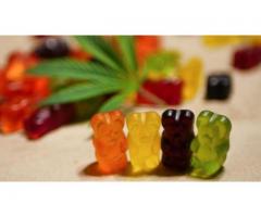 Amazing Advantages Of Animale CBD Gummies