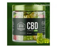 What Are Right Strategy To Take Evergreen CBD Gummies?