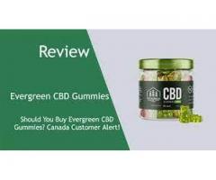 Is Evergreen CBD Gummies Work Same As Other Gummies?