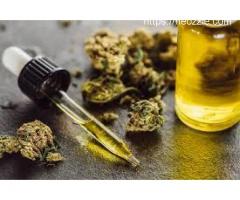 What are the Best Organic Line CBD Oil Brands?