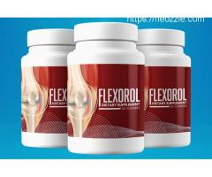 Which Ingredient Used To Make Flexorol Joints Support?