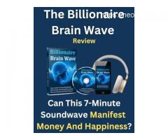Billionaire Brain Wave Surveys - Will Billionaire Brain Wave Work For You?