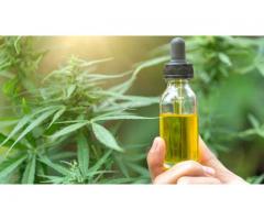 What Is Tinctures Flavored Green Garden CBD Oil?