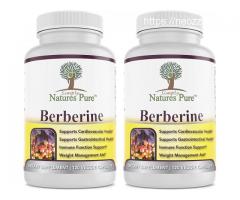 How Nature's Pure Berberine Is A Helpful In Decreasing Weight?