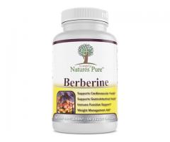 Nature’s Pure Berberine Does It Truly Work Or Not?