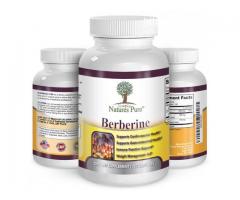 What Are Advantages Of This Nature's Pure Berberine?