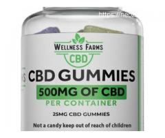 Wellness Farms CBD Gummies assist you with feeling significantly