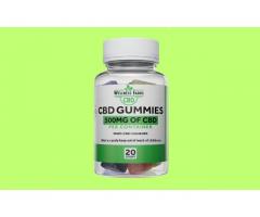 How Wellness Farms CBD Gummies Work?