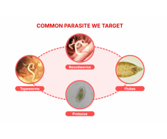https://www.facebook.com/Para911.Parasites.Cleanse.Drops.Canada/