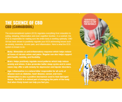 https://www.facebook.com/people/Super-Flow-CBD-Gummies/61576438243840/