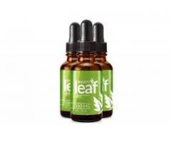 How does Mighty Leaf CBD Oil work?