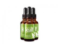 What Are The Most Effective Method To Use Mighty Leaf CBD Oil?
