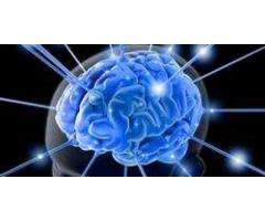 Gavvia Brain - Benefits Your Brain Improvments