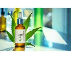 Now Is The Time For You To Know The Truth About Green Canyon CBD Oil.