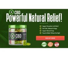 Cannaleafz CBD Gummies : Anxiety Stress Pain-Free | Price, Benefits And Side Effects!!