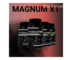 What is Magnum XT Product Cost?