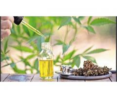 Is Essential CBD Extract Safe To Take?
