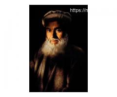 Maulana Mohammad Ali Khan ji +91-9991721550? <~~~>Saudi Arabia