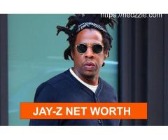 Jay Z Net Worth View
