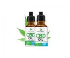 Does Dragons Den Pure CBD Oil Work On Your Body?