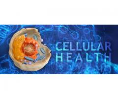 Cellular Health Accelerator Reviews – Detailed Report !
