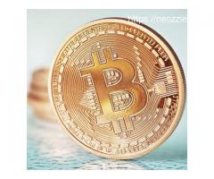 Bitcoin Circuit Website: A True Crypto Gem Or Fake?