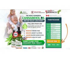 Alpha Extracts CBD OIL Price & Where To Buy In Canada