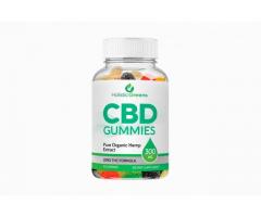 How Can People Order Holistic Health CBD Gummies ?