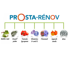 Quels ingrédients sont utilisés dans les pilules Prosta Renov?