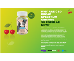 Pure Vera CBD Gummies Reviews and Shark Tank! Perceive Ingredients and Benefits!