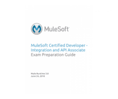 Mulesoft Certification Dumps