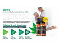 What Are The Ingredients Cannabis Sativa CBD Oil?